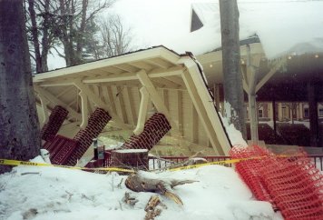 roof collapse 2.29.03'